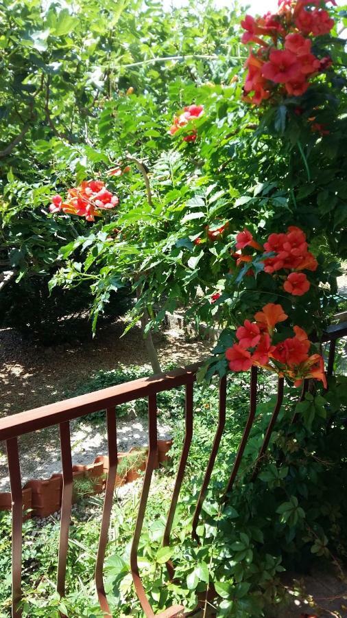 Apartmani Ivanka Makarska Exterior foto